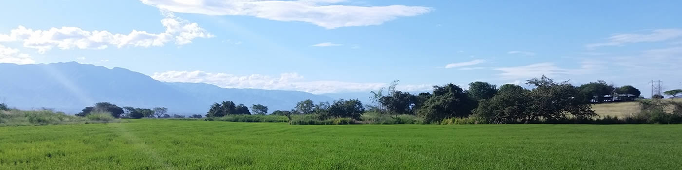 AsojuncalASOCIACIÓN DE USUARIOS DEL DISTRITO DE ADECUACIÓN DE TIERRAS DE MEDIANA ESCALA EL JUNCAL